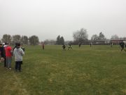 OTFL Gallery Image